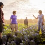 Ledencommunicatie bij Herenboerderij t Tullse Veld met community app van Socie