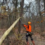 Mountainbike route Utrechtse Heuvelrug wordt onderhouden door vrijwilligers